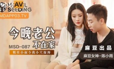 麻豆AV MSD MSD087 今晚老公不在家 陳小雨